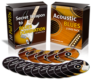 Blues Master Class DVD Series